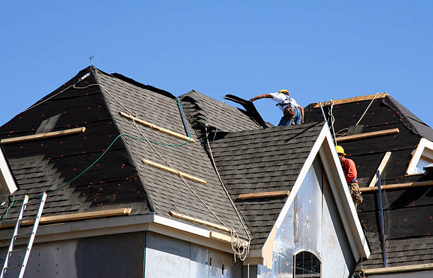 Best Roof Gutter Cleaning  in Madison, OH